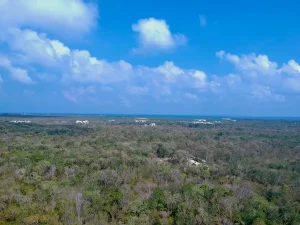 MZA 572 LT 004 REGION 08TULUM  TH1