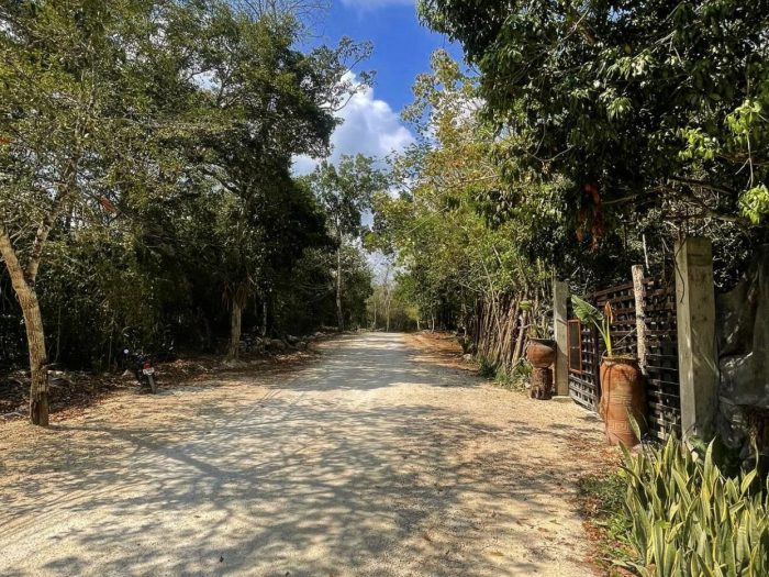 Image 26-01-26 at 4.01 p.m. LUUM HA 33